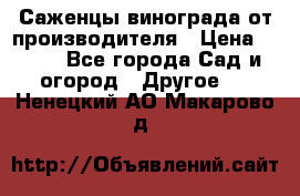 Саженцы винограда от производителя › Цена ­ 800 - Все города Сад и огород » Другое   . Ненецкий АО,Макарово д.